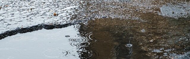 matt-hoffman--OOiAy2lBZc-unsplash (1)